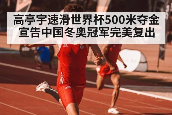 高亭宇速滑世界杯500米夺金宣告中国冬奥冠军完美复出
